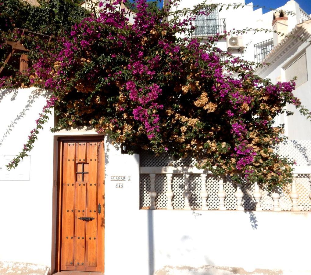 Beach Villa ,Nerja, Seaview, Pool, 3 Bedrooms, Huge Terrace And Garden Eksteriør billede